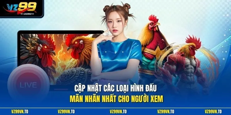 Đá Gà Trực Tiếp VZ99 - Xem Chọi Kê HD, Nhận Thưởng Lớn 4 Cập nhật các loại hình đấu mãn nhãn nhất cho người xem