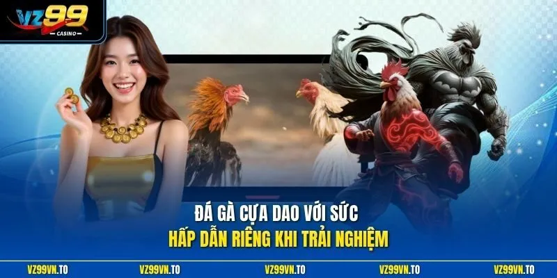 Đá Gà Cựa Dao Vz99 - Đỉnh Cao Trực Tiếp Thomo Uy Tín 2026 2 Đá gà cựa dao với sức hấp dẫn riêng khi trải nghiệm