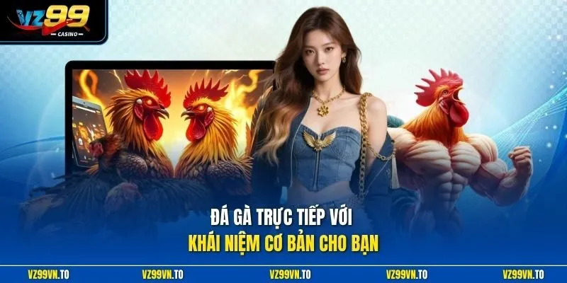 Đá Gà Trực Tiếp VZ99 - Xem Chọi Kê HD, Nhận Thưởng Lớn 2 Đá gà trực tiếp với khái niệm cơ bản cho bạn
