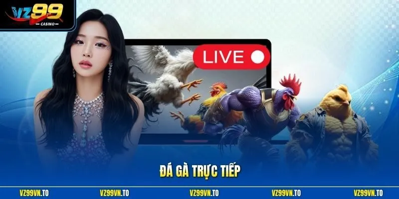 Đá Gà Trực Tiếp VZ99 - Xem Chọi Kê HD, Nhận Thưởng Lớn