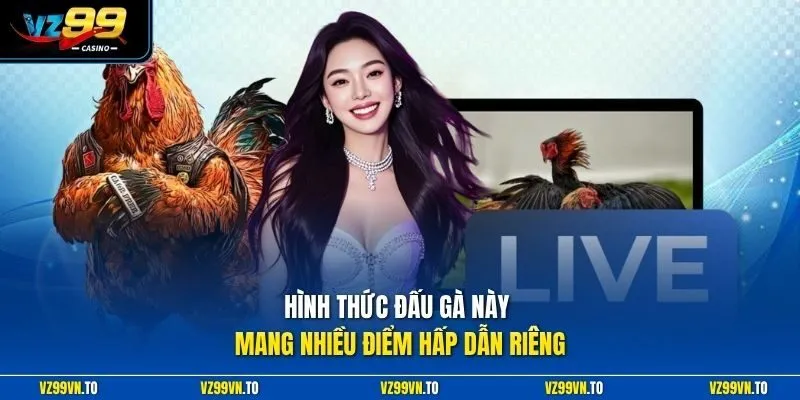 Đá Gà Trực Tiếp VZ99 - Xem Chọi Kê HD, Nhận Thưởng Lớn 3 Hình thức đấu gà này mang nhiều điểm hấp dẫn riêng