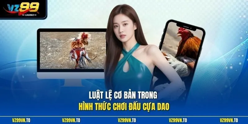 Đá Gà Cựa Dao Vz99 - Đỉnh Cao Trực Tiếp Thomo Uy Tín 2026 3 Luật lệ cơ bản trong hình thức chơi đấu cựa dao