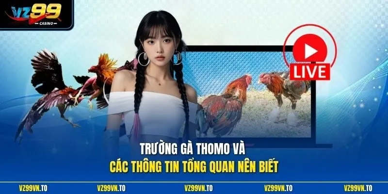 Trường Gà Thomo VZ99 - Xem Trực Tiếp Đá Gà Thomo Uy Tín 2 Trường gà Thomo và các thông tin tổng quan nên biết