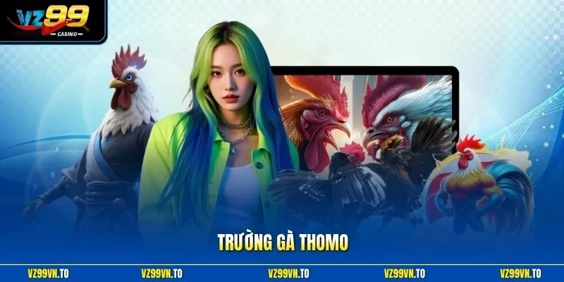 Trường Gà Thomo VZ99 - Xem Trực Tiếp Đá Gà Thomo Uy Tín